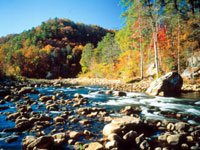 Fall Fall
