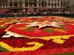 Flower Show