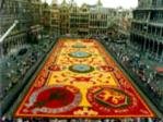 Brussels Flower Carpet