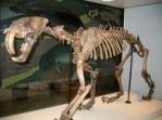 Prehistoric skeleton
