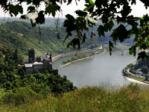 The Rhine