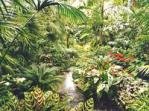 Frankfurt Botanical Gardens
