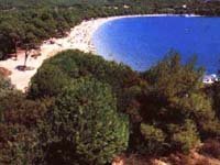 Koukounaries Beach, Skiathos Koukounaries Beach, Skiathos