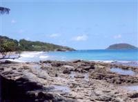 Coastal scenery, Guadeloupe