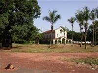 Rural scene