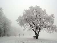 A white winter in Hungary A white winter in Hungary