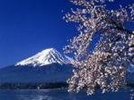 Mt Fuji