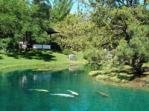 Montreal Botanical Garden