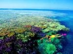 Snorkelling on the Great Barrier Reef, Australia
