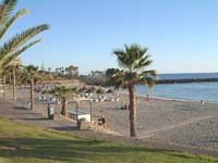 Playa de las Americas, Tenerife Playa de las Americas, Tenerife