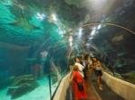 Barcelona Aquarium