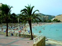 Palma Nova