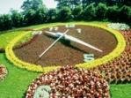 Flower Clock
