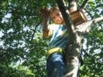 Tree climbing Tree climbing