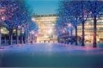 Tree lights